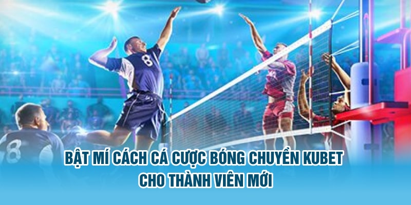 Cá cược bóng chuyền Kubet