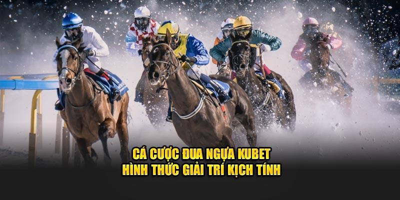 Cá cược đua ngựa Kubet