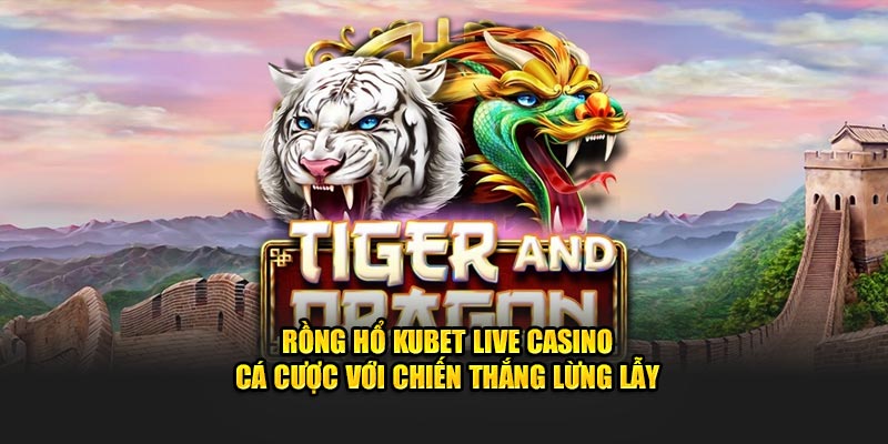 Rồng Hổ Kubet Live Casino